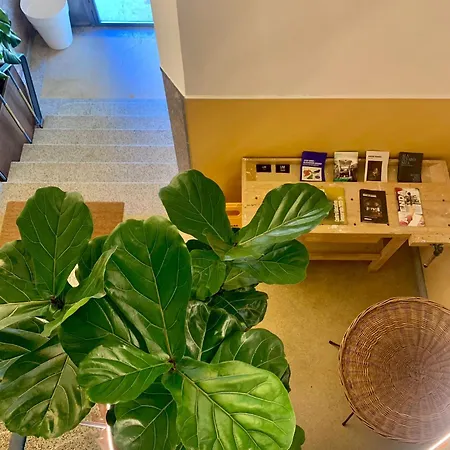 Daire Lm Art *